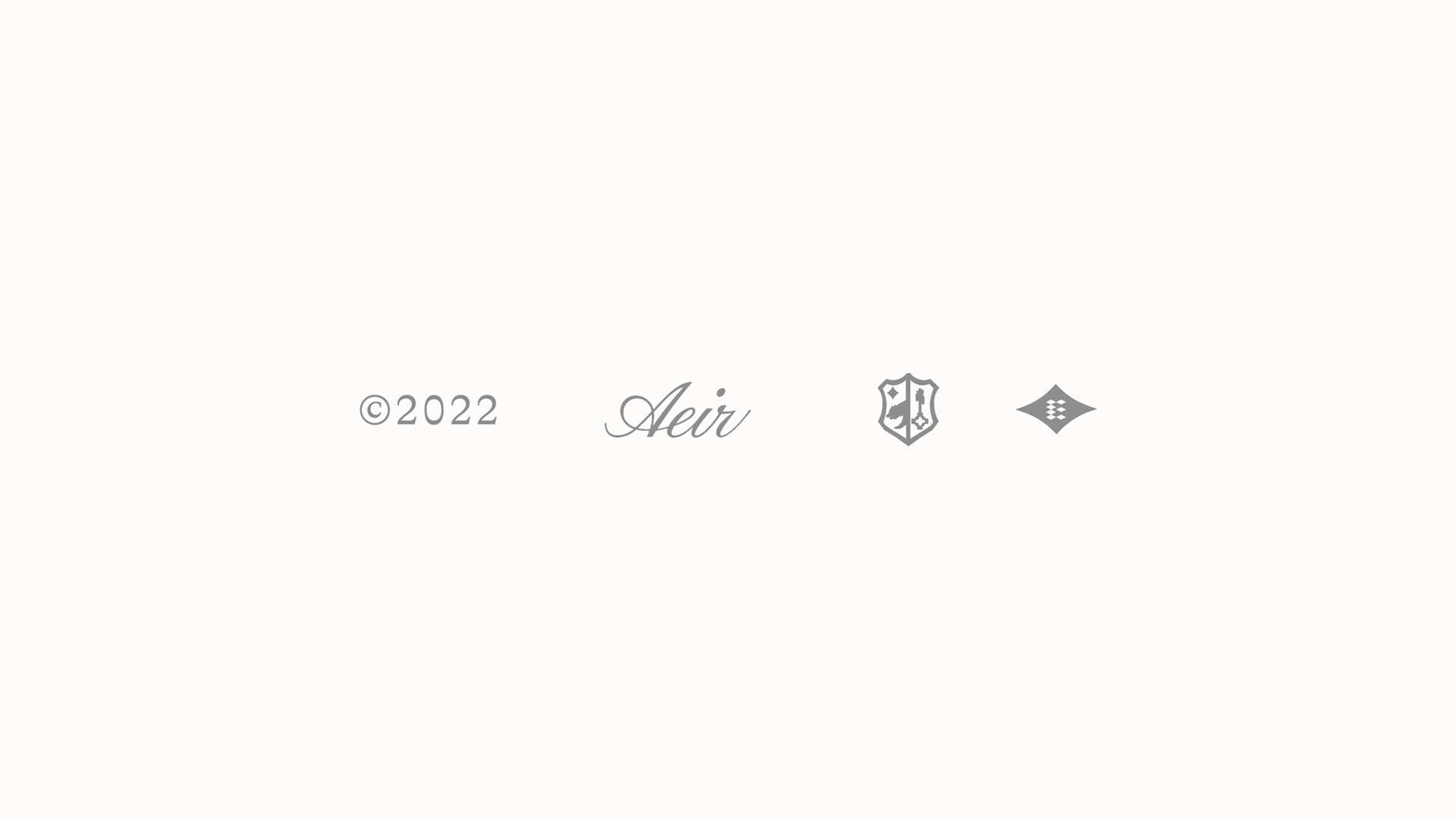 logo_aeir_v2